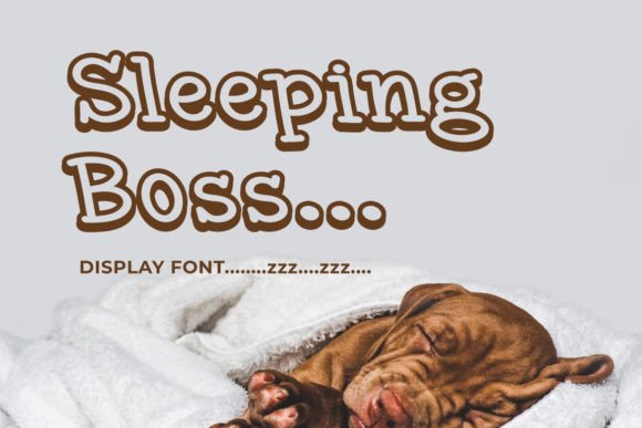 Sleeping Boss: Evaluating a Minimalist Modern Display Font for Creative Projects