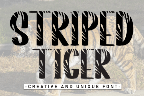 Striped Tiger: Integrating a Sweet Display Font into Professional Design Workflows